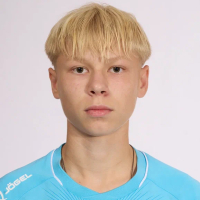 Владислав Соколов