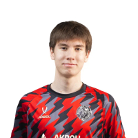 Кирилл Рогожкин