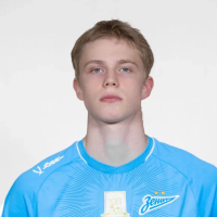 Владислав Васин