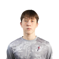 Дмитрий Враницын